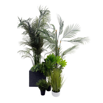 plamt hire for exhibitions