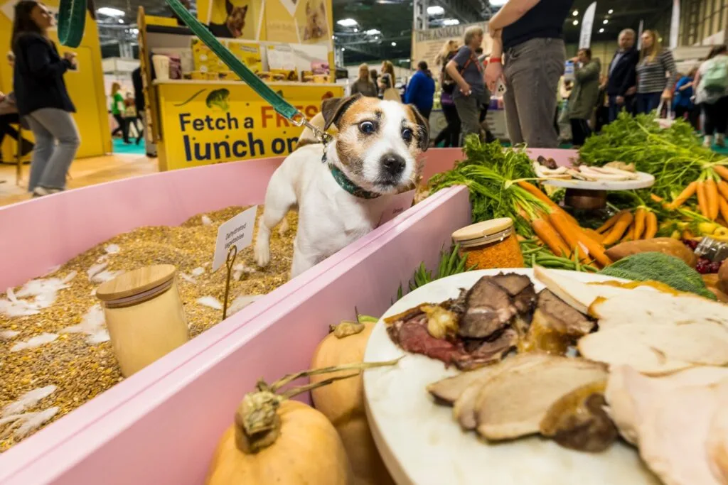 Sensory Experiential Marketing